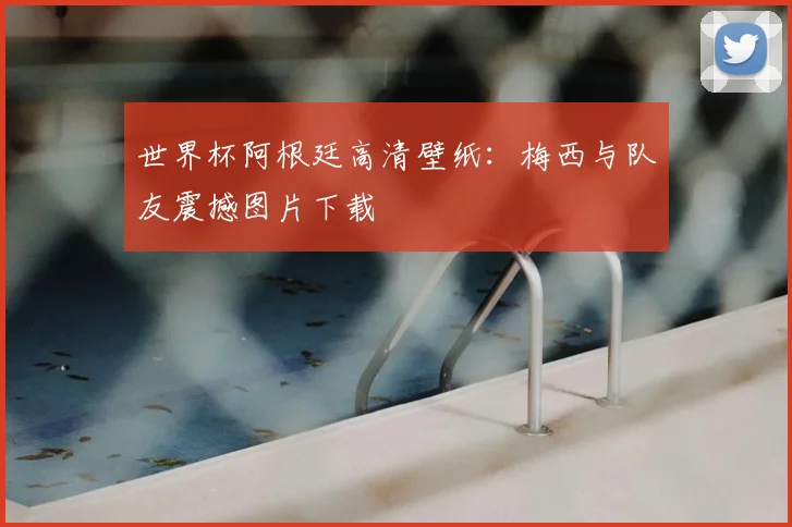 世界杯阿根廷高清壁纸：梅西与队友震撼图片下载
