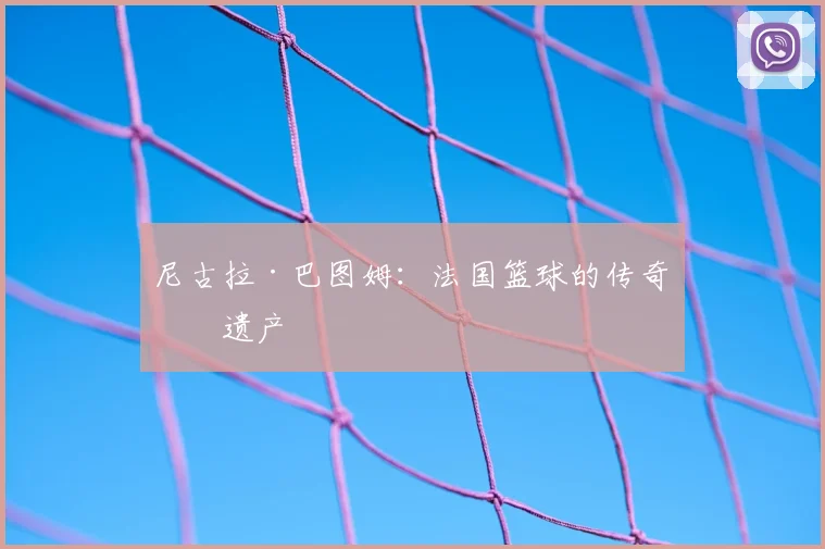 尼古拉·巴图姆：法国篮球的传奇与遗产